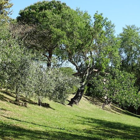 לינה וארוחת בוקר מוטספרטולי Santa Maria Della Pace מראה חיצוני תמונה