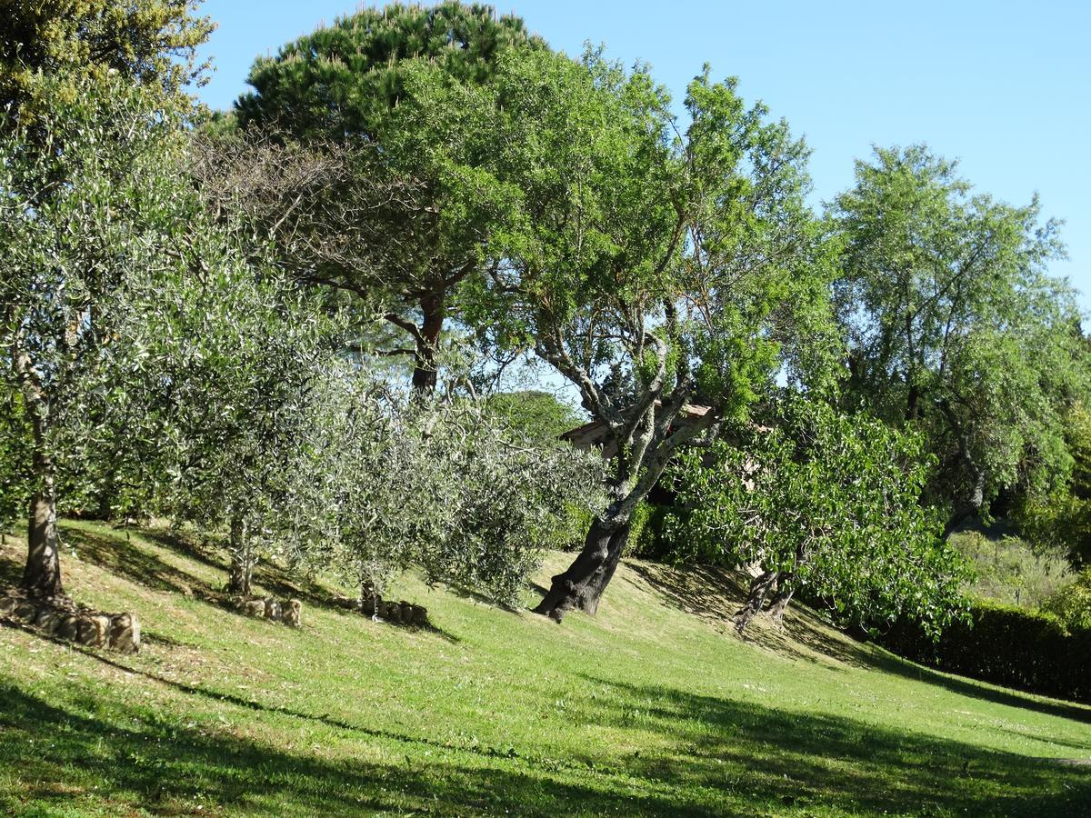 לינה וארוחת בוקר מוטספרטולי Santa Maria Della Pace מראה חיצוני תמונה